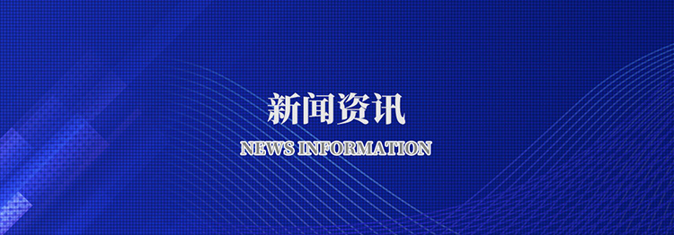 乐动手机网页版登录入口