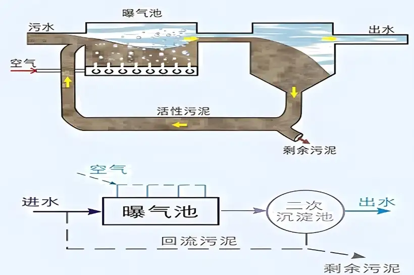 活性污泥系统污泥回流池怎么控制?